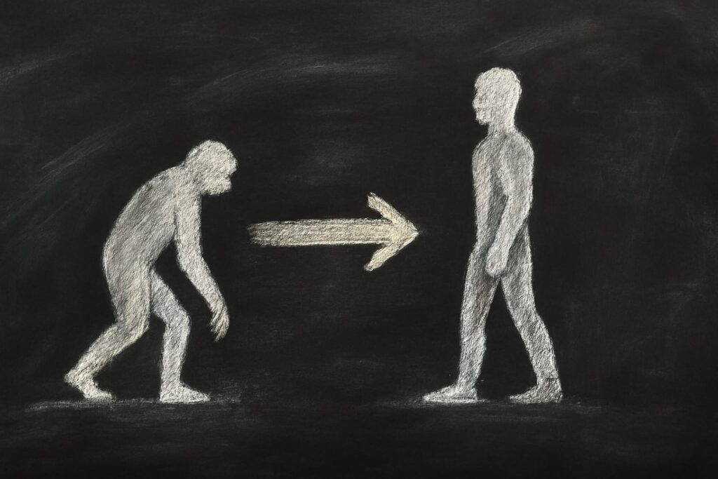 FHIR R4 vs FHIR R5 for US EHR Projects