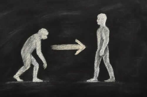 FHIR R4 vs FHIR R5 for US EHR Projects